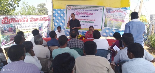Field day at KVK, Bellampalli