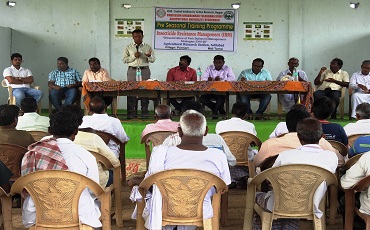 IRM Project on Cotton 