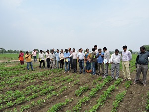 ARS, Adilabad T&V Meeting 