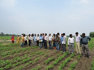 ARS, Adilabad T&V Meeting 