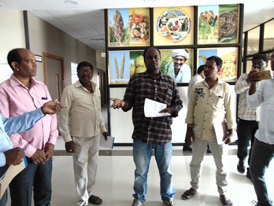 MILLET  FARMERS’ EXPOSURE 