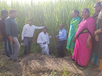Training to AEOs of Medak district 