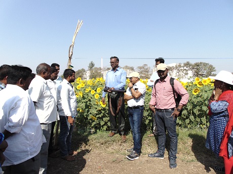 Field day on Rabi Sunflower, Irkode 