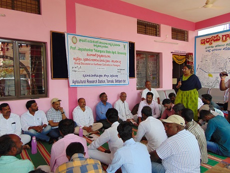 Field day on Rabi Sunflower, Irkode 