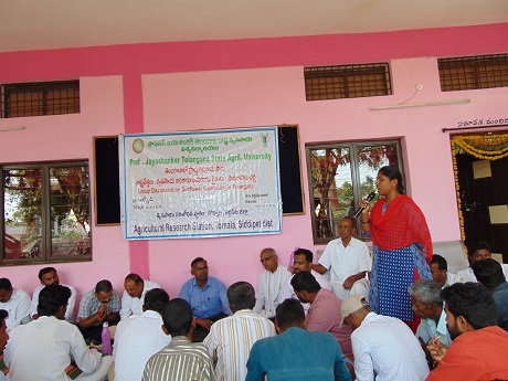 Field day on Rabi Sunflower, Irkode 