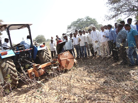 Field day on Rabi Sunflower, Irkode 