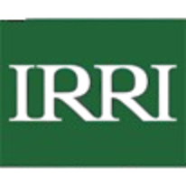 IRRI Logo